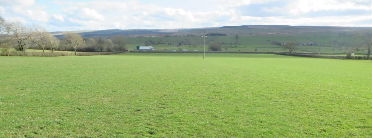 Site 3 year 1 growth Site 3 year 1 growth