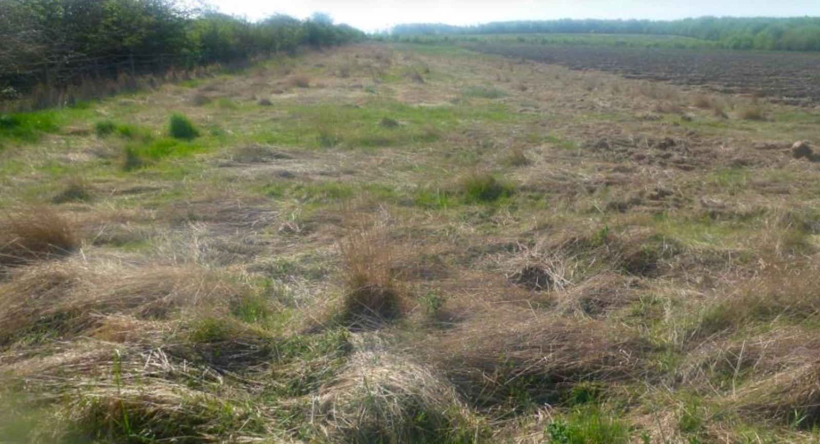 Site 1 existing Site 1 existing