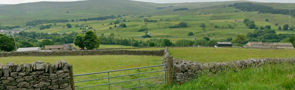 Hedgerow