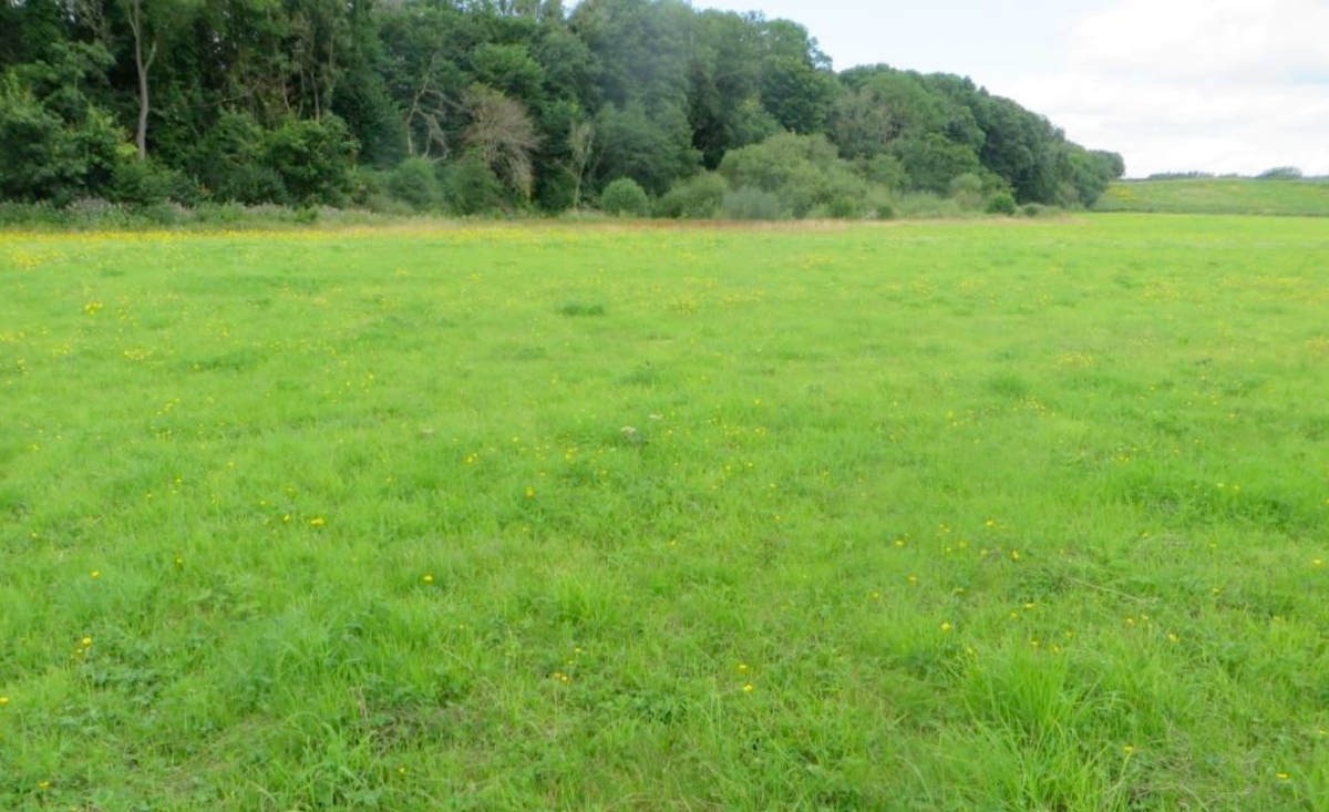 Site 2 survey 2024