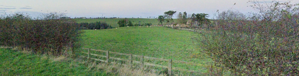 Grassland