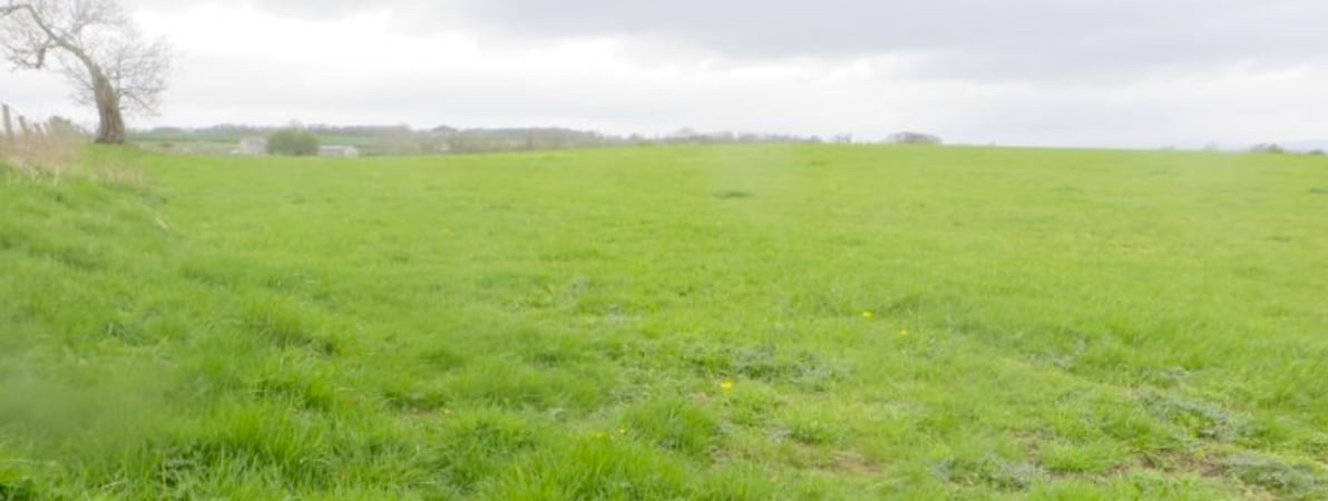 Site 1