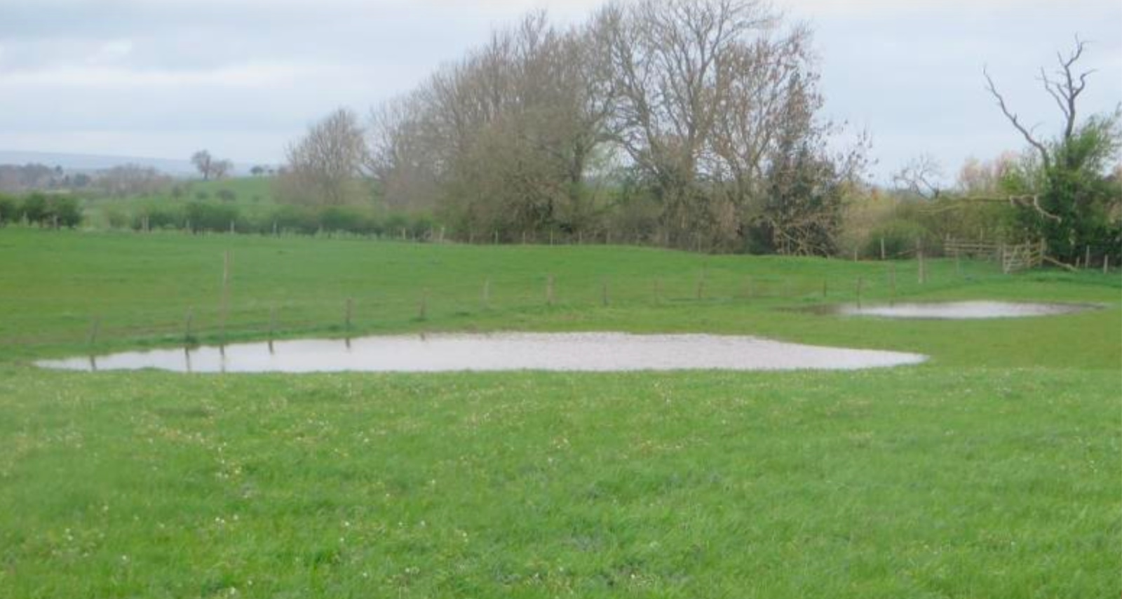 Site 1