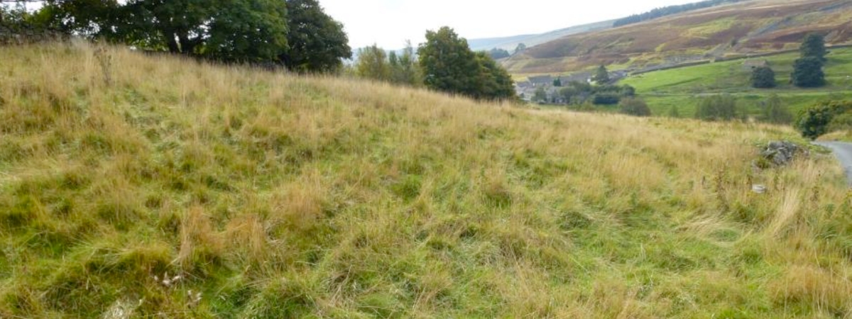 Site 1