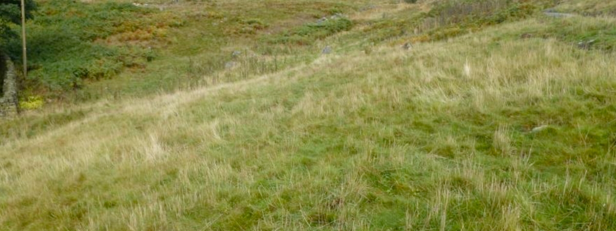 Site 1a