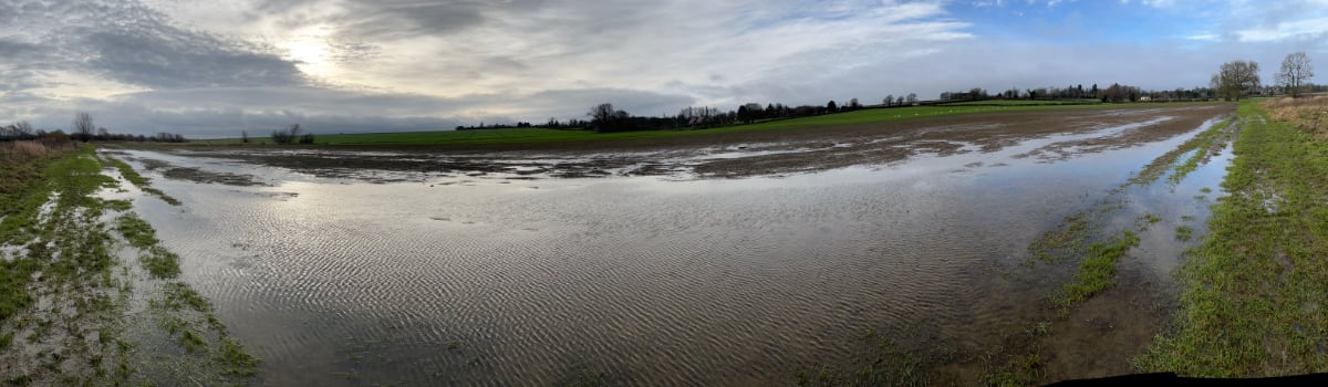 Site 2