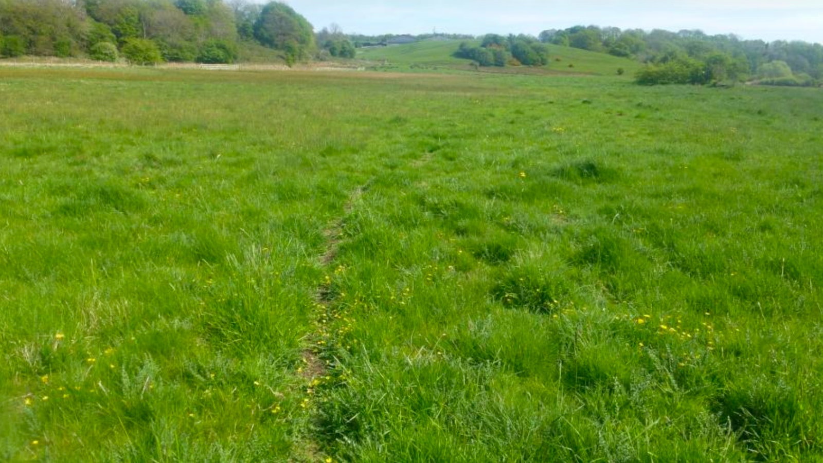 Site 1 existing