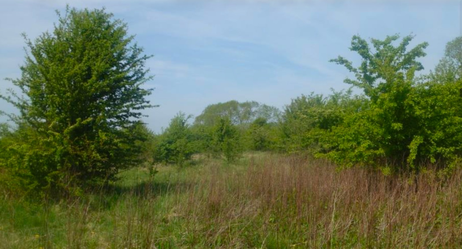 Site 1 existing