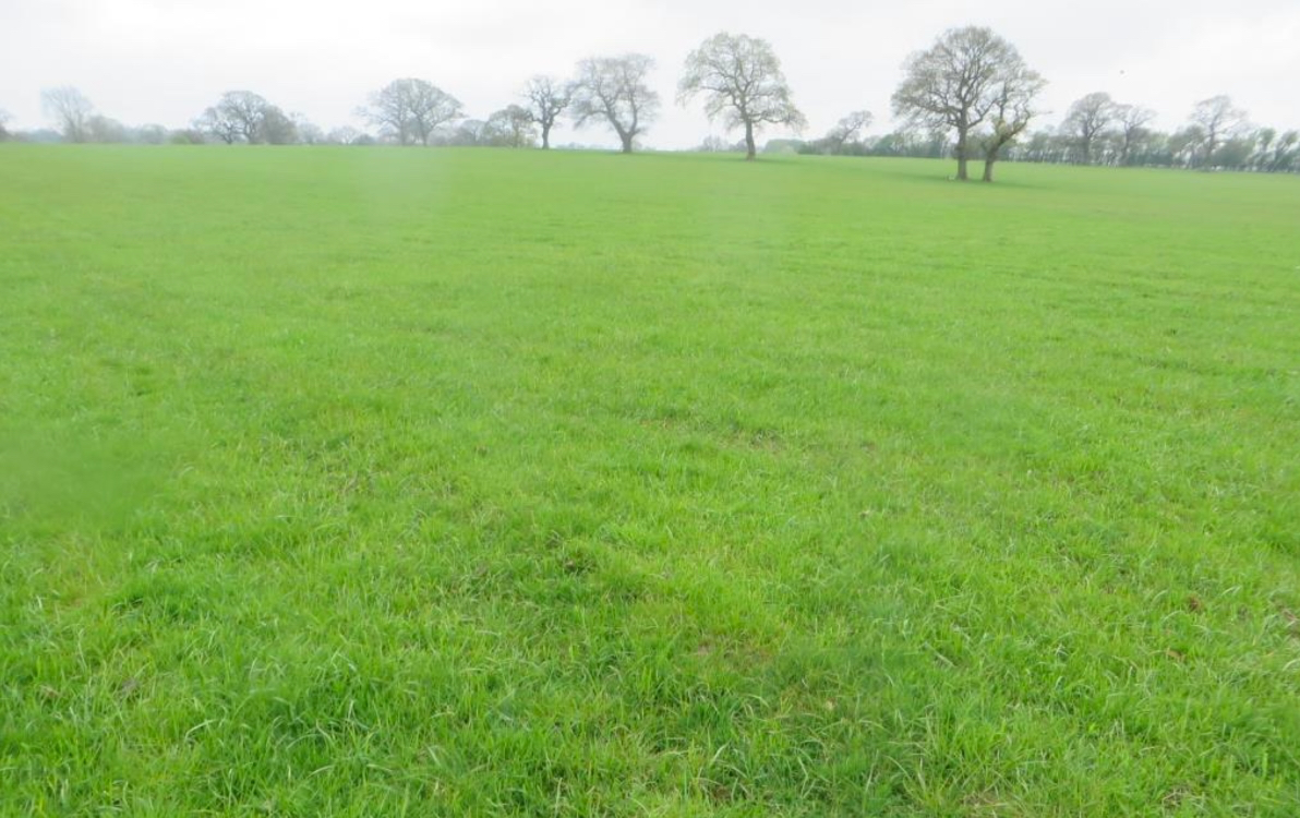 Site 1 existing