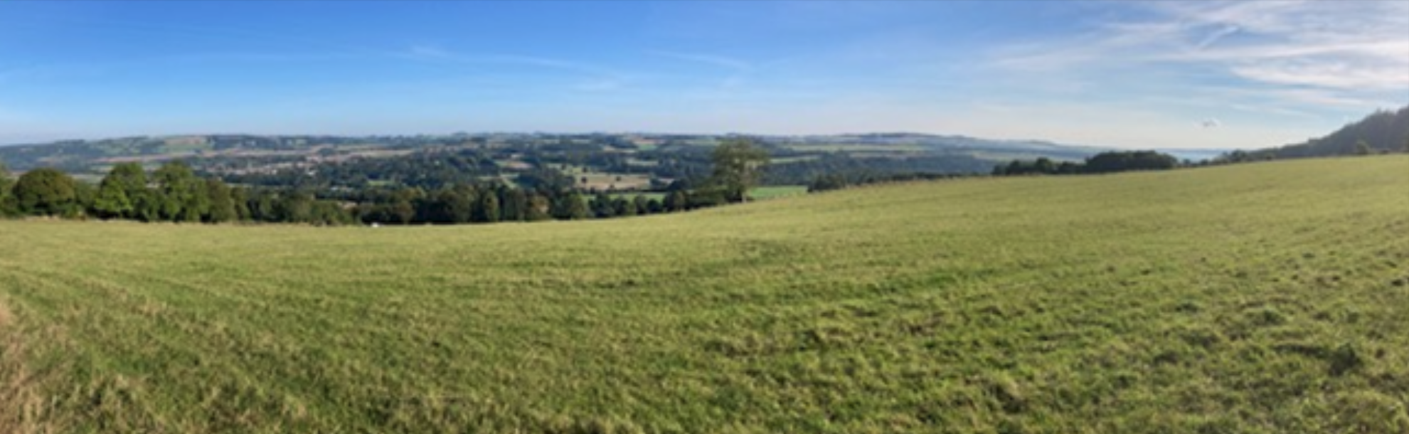 Grassland