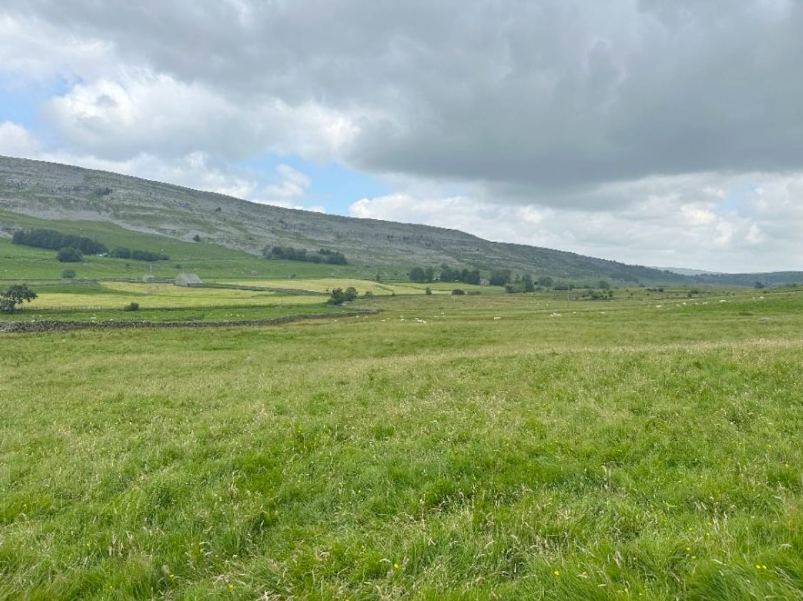 calcareous calcareous