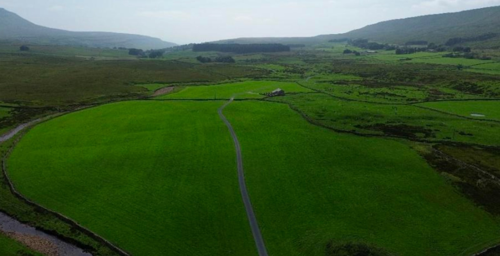 calcareous calcareous