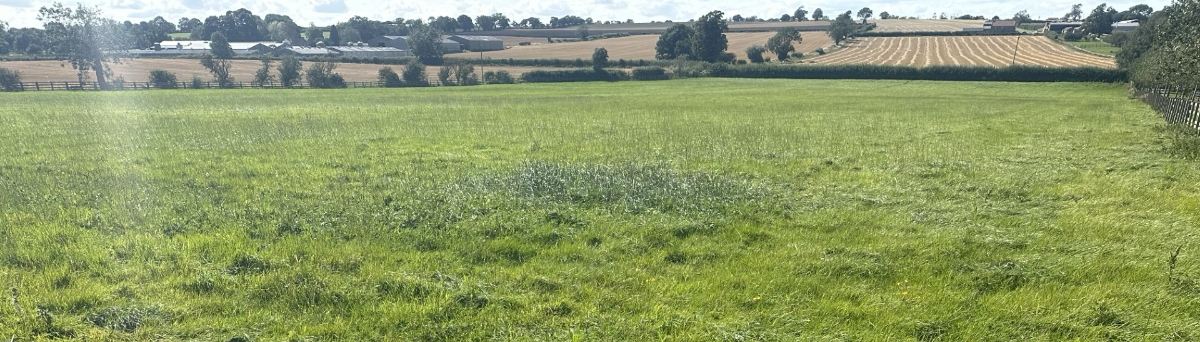 Site 1 existing