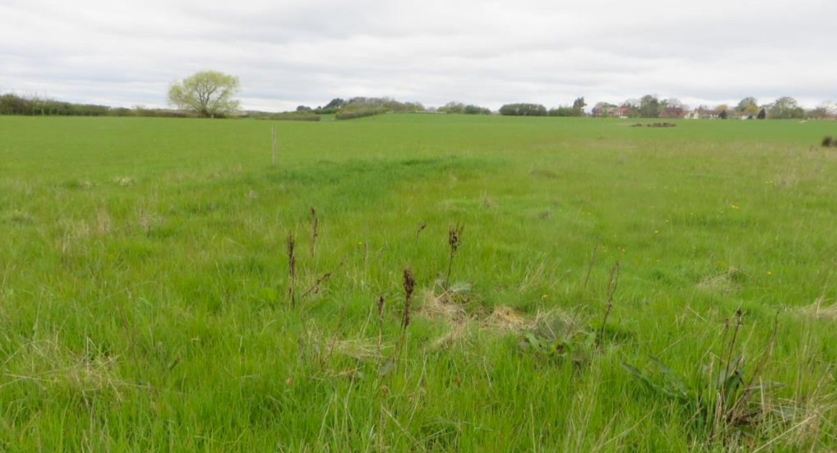 Site 1 2024 growth