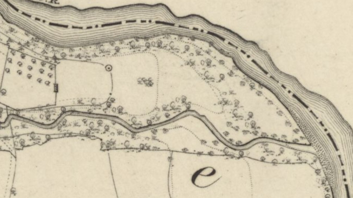 Historic Woodland